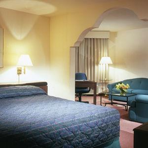 Fiesta Otay Aeropuerto Hotel 4*